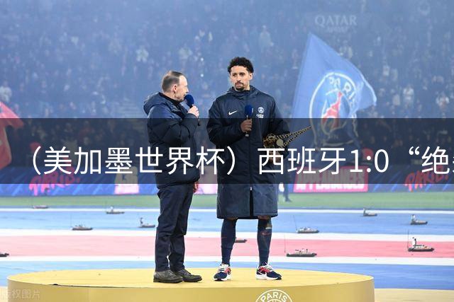 （美加墨世界杯）西班牙1:0“绝杀”葡萄牙 C罗结束世界杯征程